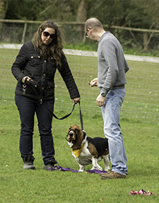 Naturally Pets hourly dog training