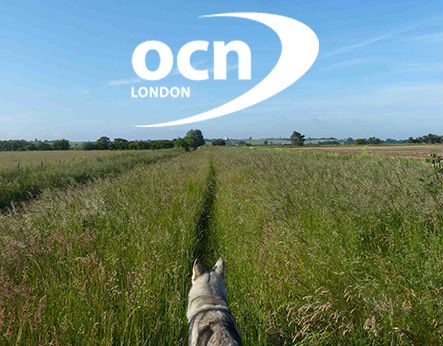 OCN distance learning courses picture, Naturally Pets canine college