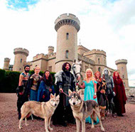 Watermill Wolves, Game of Thrones, British Lupine Dog, Blis